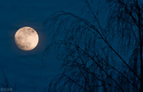 帶有今夜的詩(shī)句,含今夜的詩(shī)句,今夜開(kāi)頭的詩(shī)句