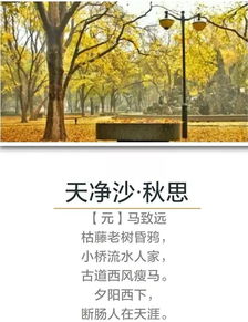 古詩(shī)詞,詩(shī)句,描寫(xiě),秋天