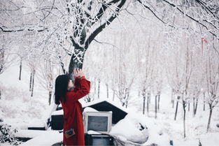 關(guān)于江南的雪的詩(shī)句