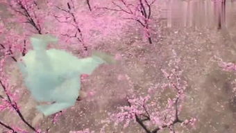 關(guān)于桃花的搞笑詩(shī)句大全