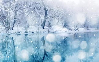 關(guān)于雪和驕人的詩(shī)句