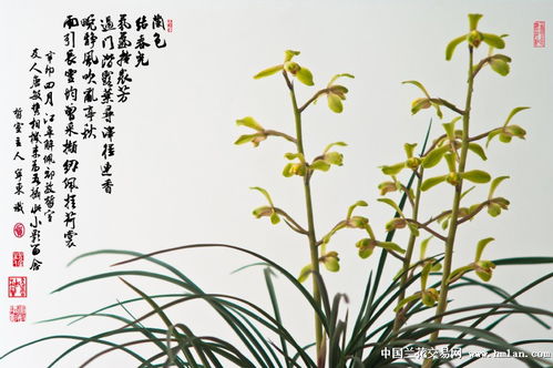 詩(shī)句,搜集