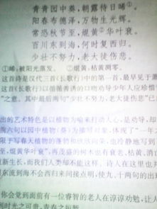 古詩(shī)句中表示珍惜時(shí)間的相連的