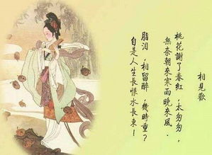關(guān)于興趣用詩(shī)句表達