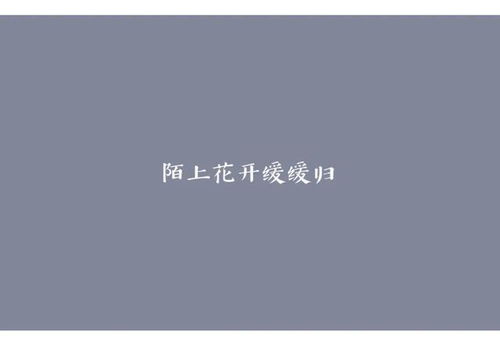 詩(shī)句,期待