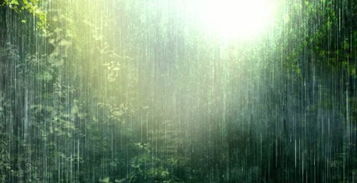 關(guān)于春風(fēng)詩句分類
