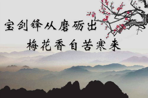 關(guān)于面對挫折的古詩(shī)句