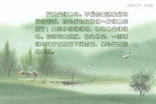 描寫夏天校園的詩句,描寫夏天的校園詩句現(xiàn)代詩,描寫夏天的校園詩句古詩