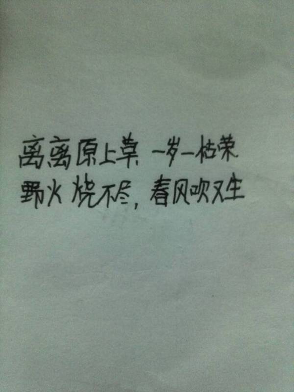有關(guān)于堅強的詩(shī)句