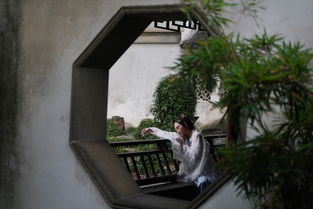 蘇州園林,古詩(shī),詩(shī)句,贊美