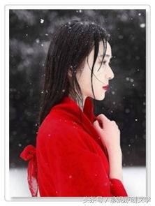 詩(shī)句,冬天