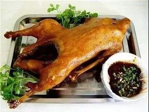 兔肉,詩(shī)句
