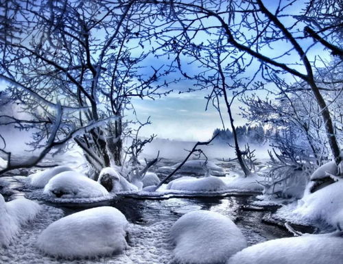 中國古代關(guān)于雪的有名的詩(shī)句