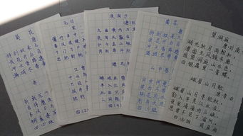 四級古詩(shī)句默寫(xiě)