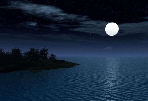 寫(xiě)一個(gè)關(guān)于月夜的詩(shī)句