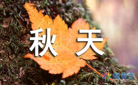 有關(guān)秋天的四字詞語(yǔ)或古詩(shī)句