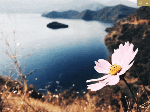 藍的詩(shī)句古詩(shī)