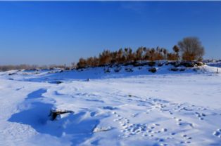關(guān)于形容雪留下的美景的詩(shī)句