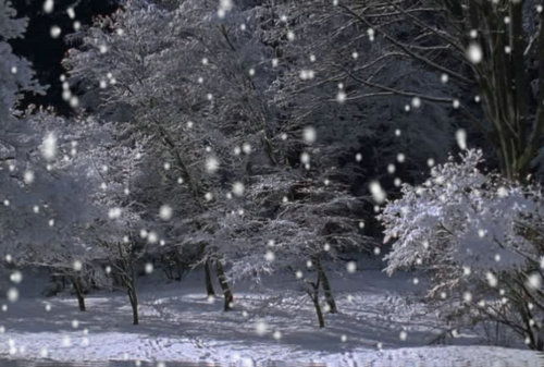 下雪的詩(shī)句不帶雪字,含下雪的雪的詩(shī)句,下雪化雪的詩(shī)句