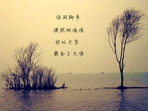 關(guān)于感情心態(tài)平靜詩(shī)句