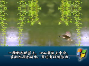 關(guān)于映碧波的詩(shī)句