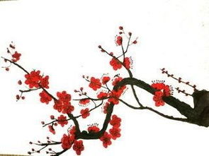 關(guān)于梅花的詩(shī)句作業(yè)幫