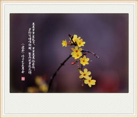 關(guān)于迎春圖的詩(shī)句