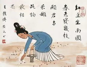 思戀,詩(shī)句,女友