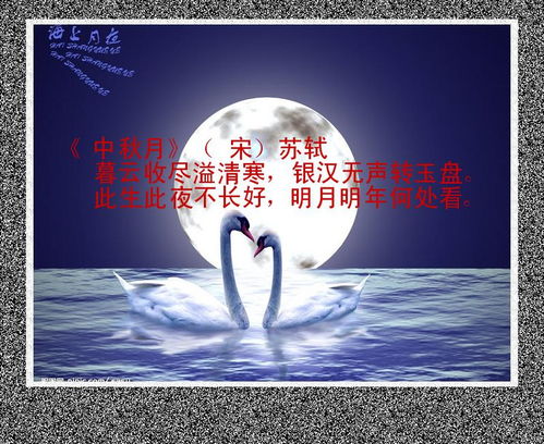 朗誦,詩(shī)句,中秋