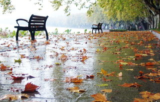 古詩(shī),詩(shī)句,秋雨