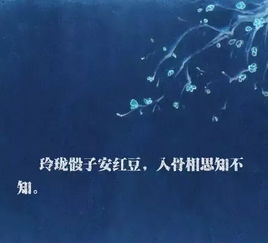 不是心中所想用古詩(shī)句表達