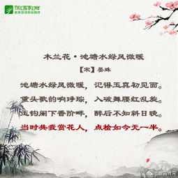 關(guān)于青春和感恩的詩(shī)句