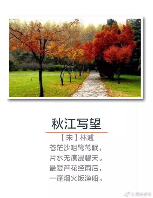 秋景,古詩(shī)詞,詩(shī)句