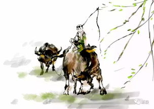表現牧童無(wú)憂(yōu)無(wú)慮的詩(shī)句,表現牧童無(wú)憂(yōu)無(wú)慮和悠閑自在的詩(shī)句,所見(jiàn)描寫(xiě)牧童無(wú)憂(yōu)無(wú)慮的詩(shī)句