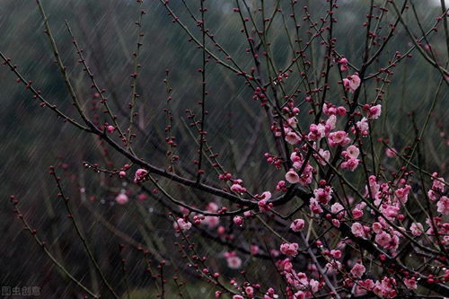 春雨,江南,古詩(shī),詩(shī)句