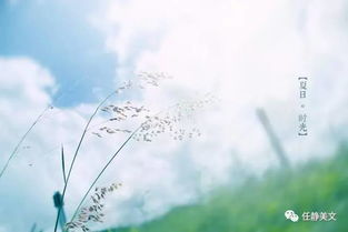 寫(xiě)出關(guān)于感嘆時(shí)光的詩(shī)句