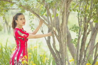 關(guān)于贊美新疆美女的詩(shī)句