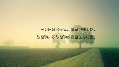 關(guān)于人累心更累的詩(shī)句