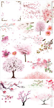 關(guān)于桃花櫻花未開(kāi)的詩(shī)句