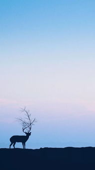 對心上人表白的古詩(shī),想念心上人的古詩(shī),寫(xiě)給心上人的古詩(shī)