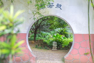 詩(shī)句,美景,岳麓山