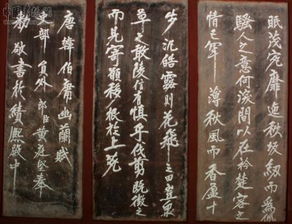 古詩(shī)寒蟬賦全部詩(shī)句