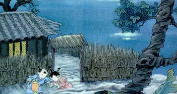 蟋蟀,詩(shī)句,所見(jiàn)