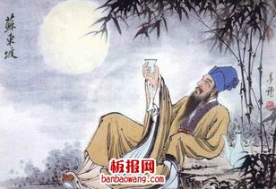 文人寫(xiě)關(guān)于柿子的詩(shī)句