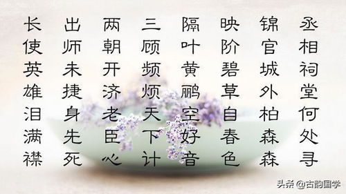 10句詩(shī)句的古詩(shī)