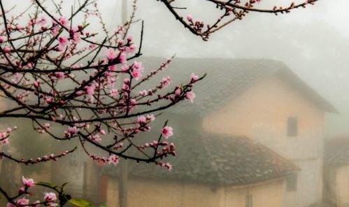 寫(xiě)一句關(guān)于讀書(shū)方法的詩(shī)句是什么意思
