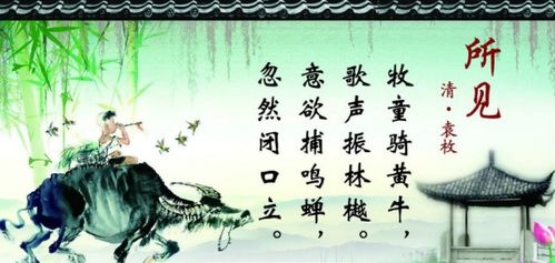 古詩(shī)所見(jiàn)的詩(shī)句