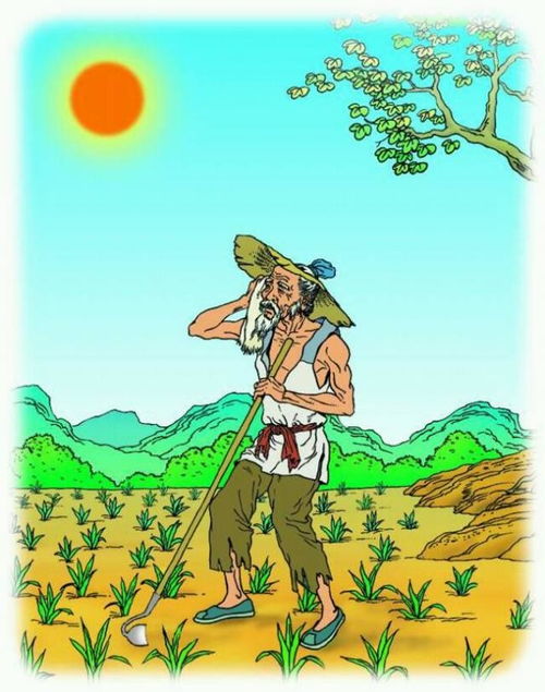 憫農的古詩(shī)句有什么