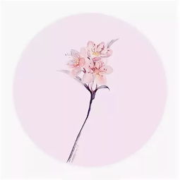 關(guān)于痕跡的古風(fēng)詩(shī)句