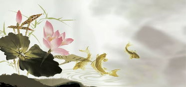 關(guān)于荷花國畫(huà)上的的詩(shī)句